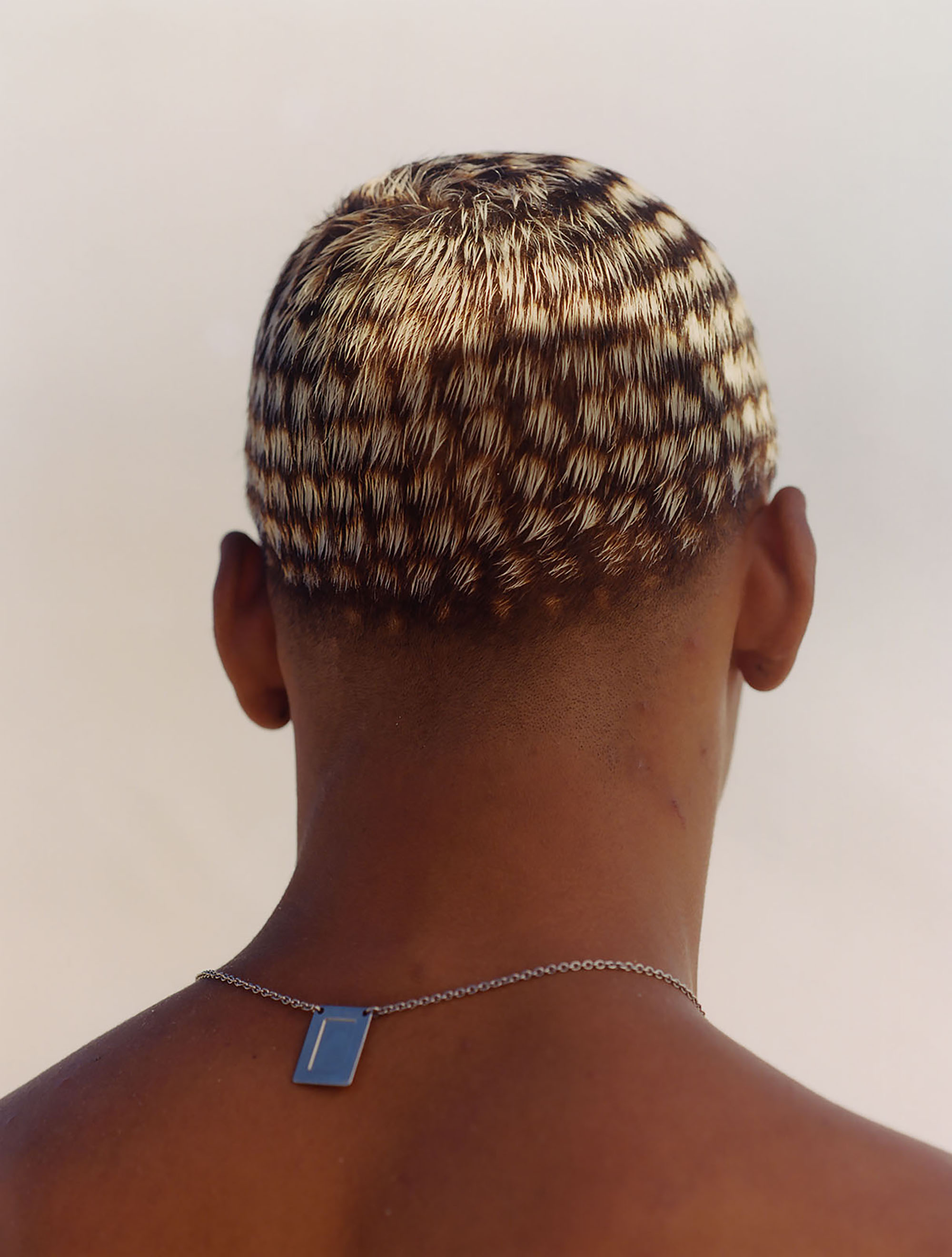 Talent and Partner, talent: Vavá Ribeiro (Thumbnail)