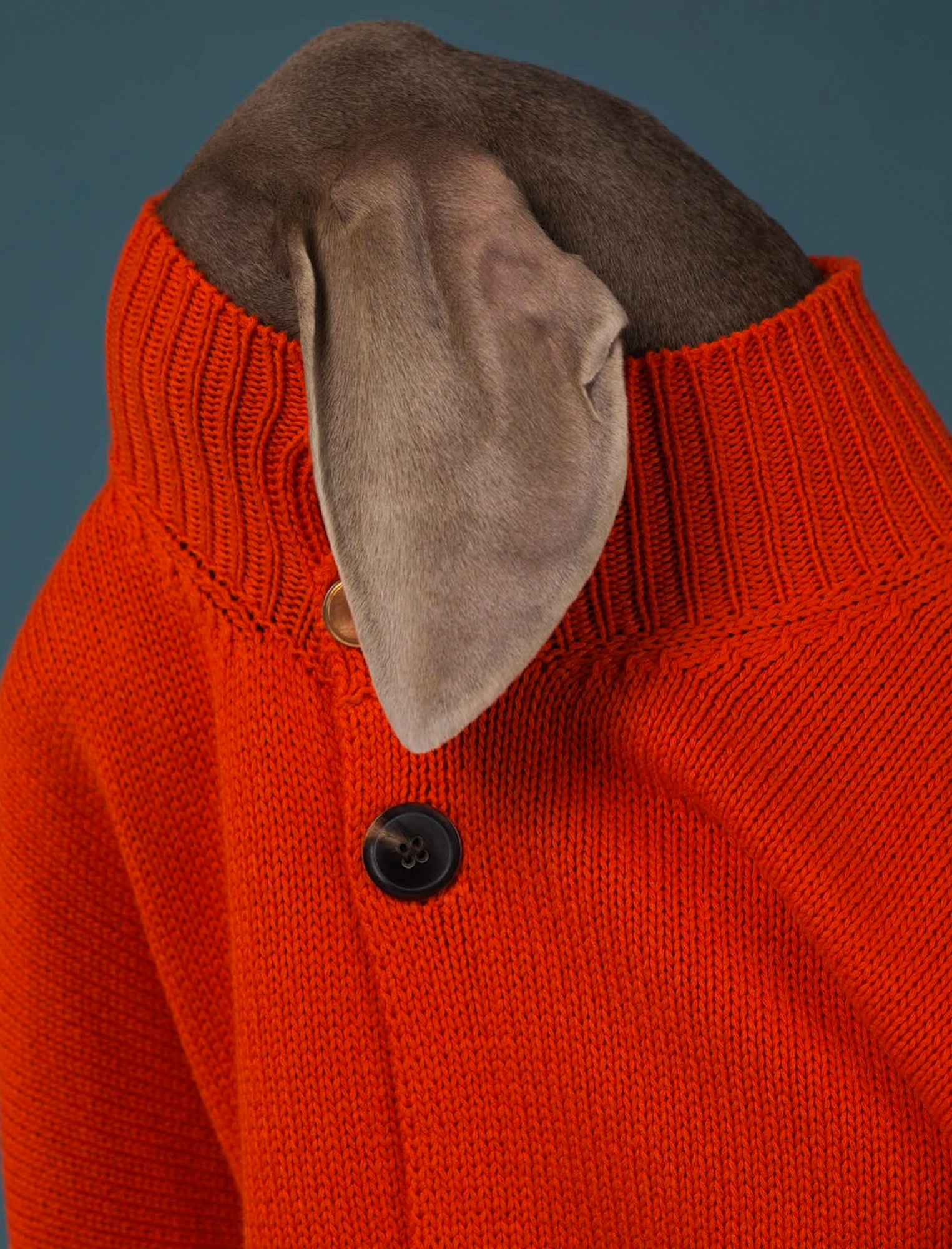 Talent and Partner, Samuel François: Portfolio (Fig. 126)