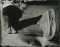 Talent and Partner, Leandro Farina: Industry Standard (Miniature 3)