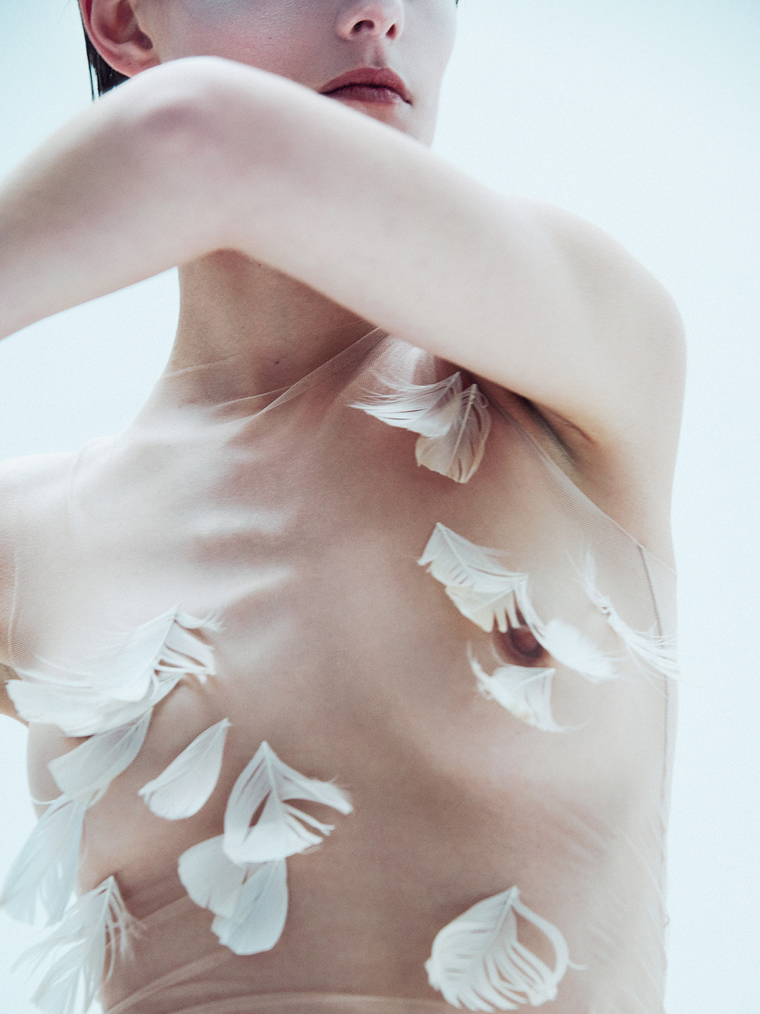 Talent and Partner, Samuel François: Portfolio (Fig. 47)