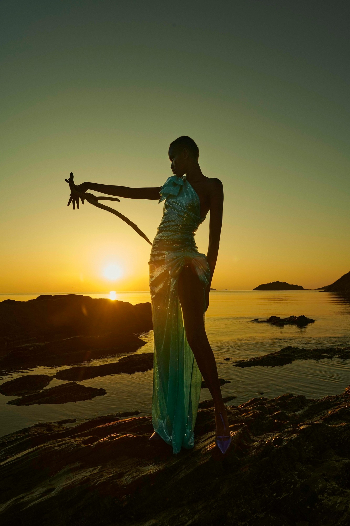 Talent and Partner, Samuel François: Portfolio (Fig. 74)