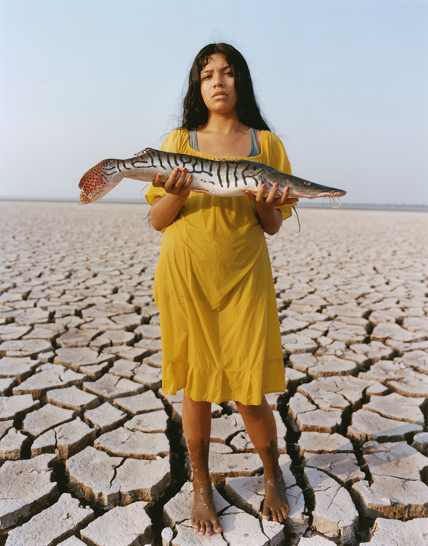 Talent and Partner, Vavá Ribeiro: Books & Personal Projects (Fig. 12)