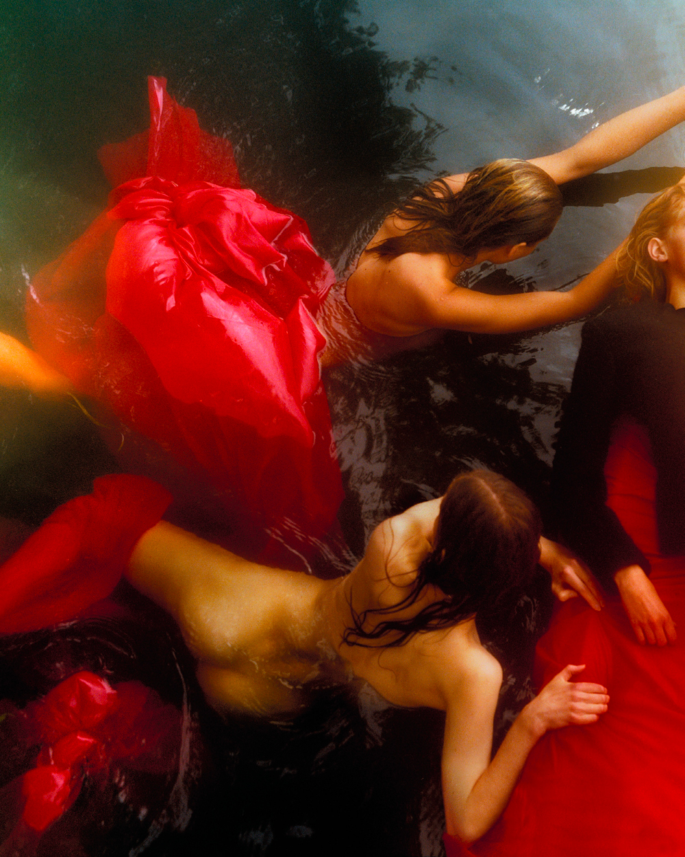 Talent and Partner, Samuel François: Portfolio (Fig. 115)