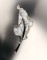 Talent and Partner, featured: Instyle China — Obscura Odyssey (Fig. 2)