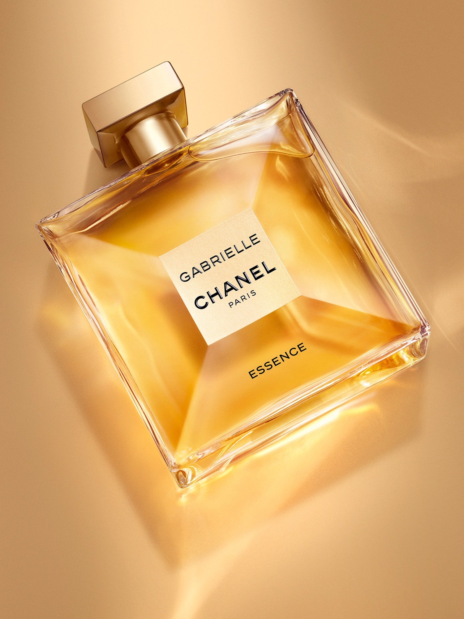 Talent and Partner, Simone Cavadini: Chanel - Gabrielle (Fig. 1)