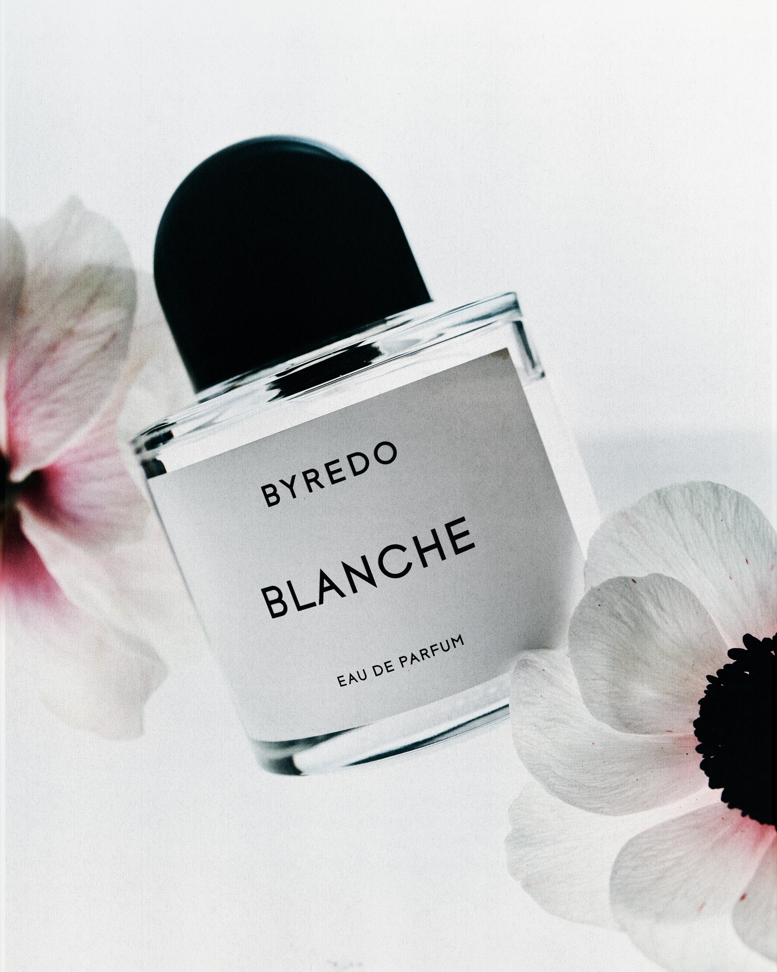 Talent and Partner, Aurore Piedigrossi: Byredo (Fig. 2)