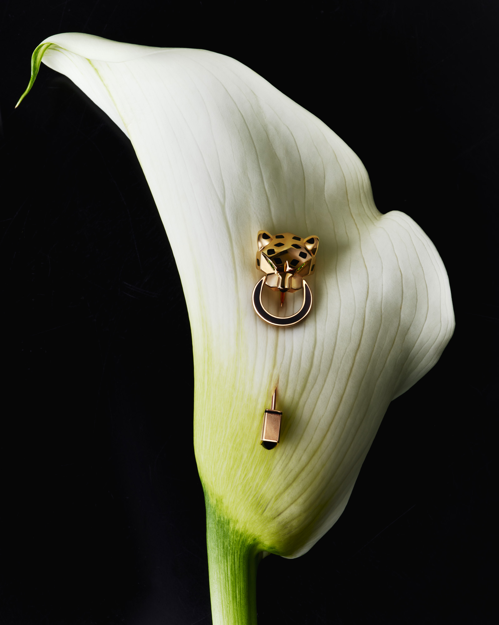 Talent and Partner, Leandro Farina: Harrods Magazine — Made to Treasure (Thumbnail)