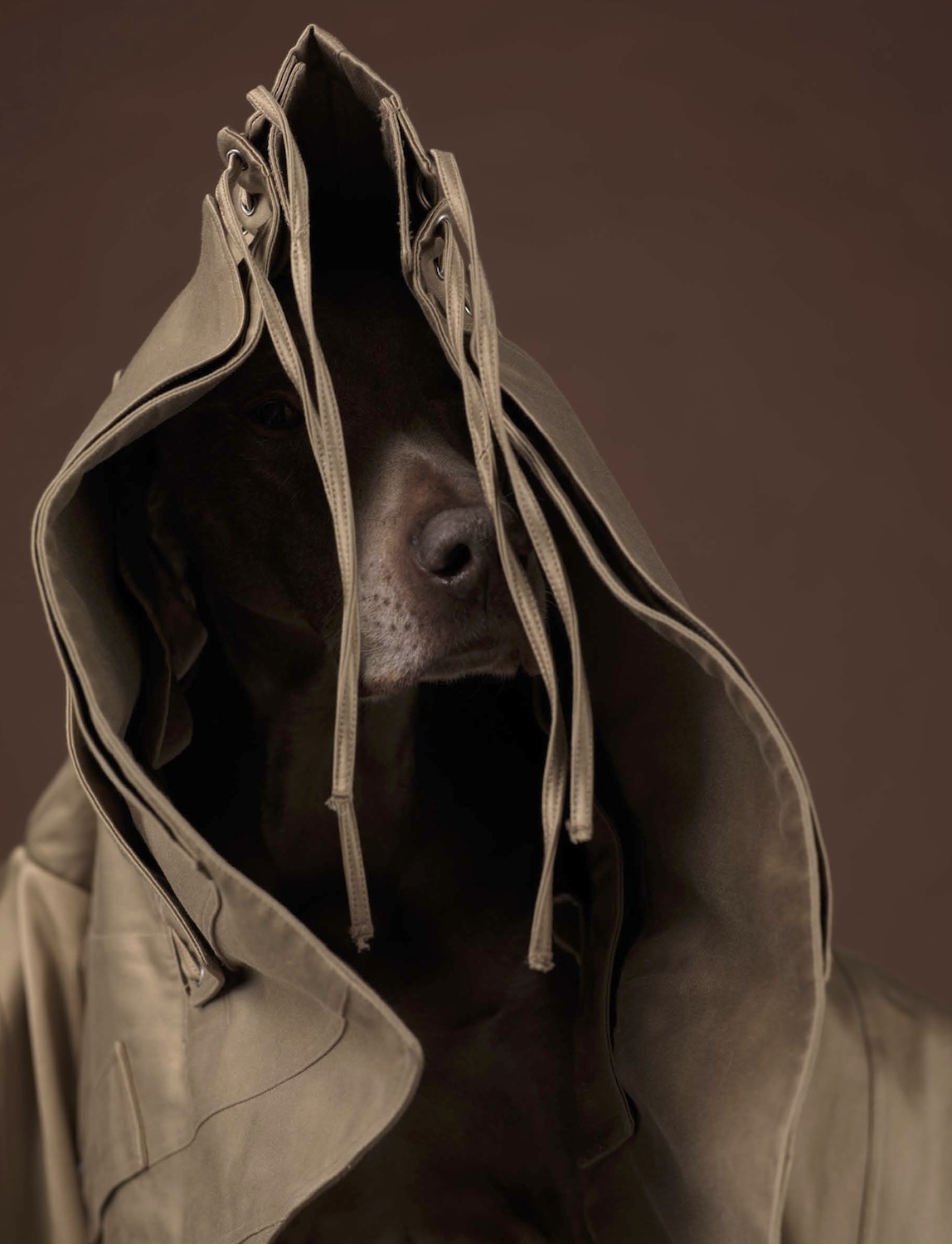 Talent and Partner, Samuel François: Portfolio (Fig. 128)