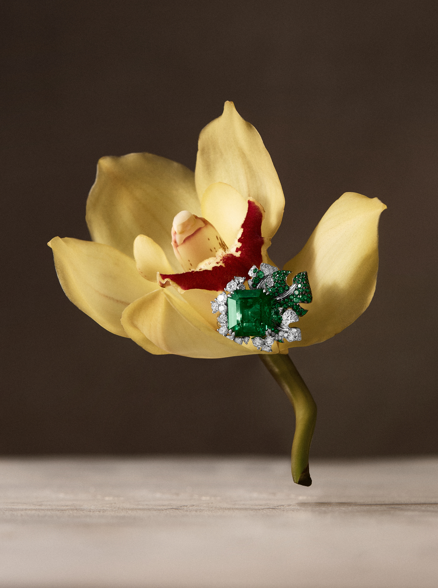 Talent and Partner, Nathan Robin: PalaceScope (Fig. 3)