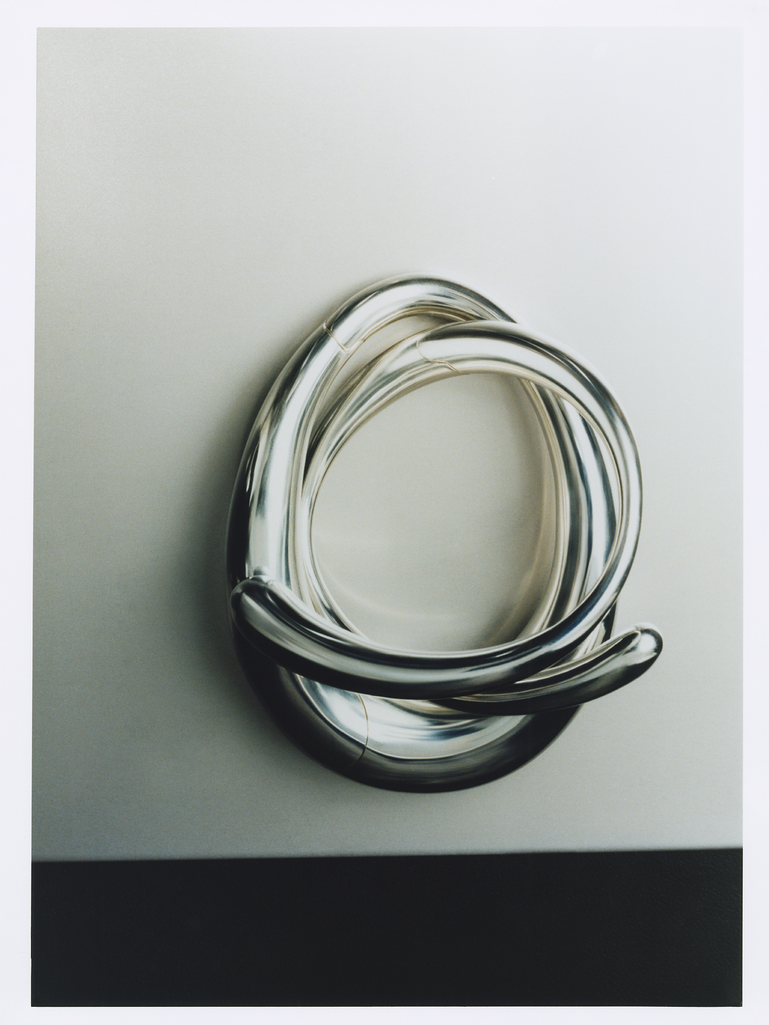 Talent and Partner, Leandro Farina: Twin Magazine (Fig. 4)