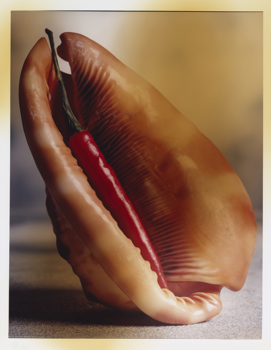 Talent and Partner, Leandro Farina: Loop Dining (Fig. 6)