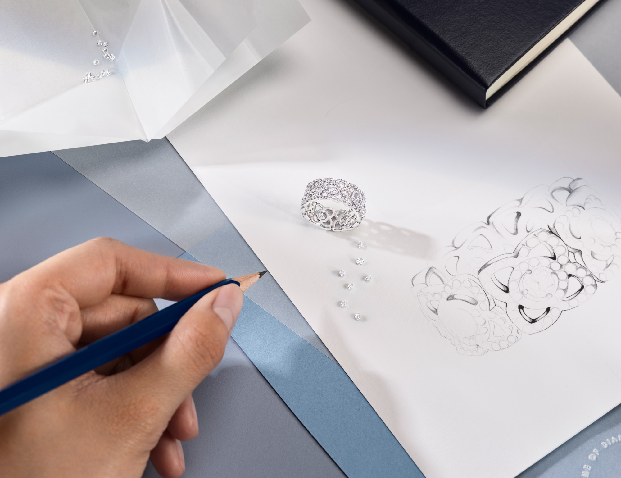 Talent and Partner, Leandro Farina: De Beers - 2024 (Fig. 2)