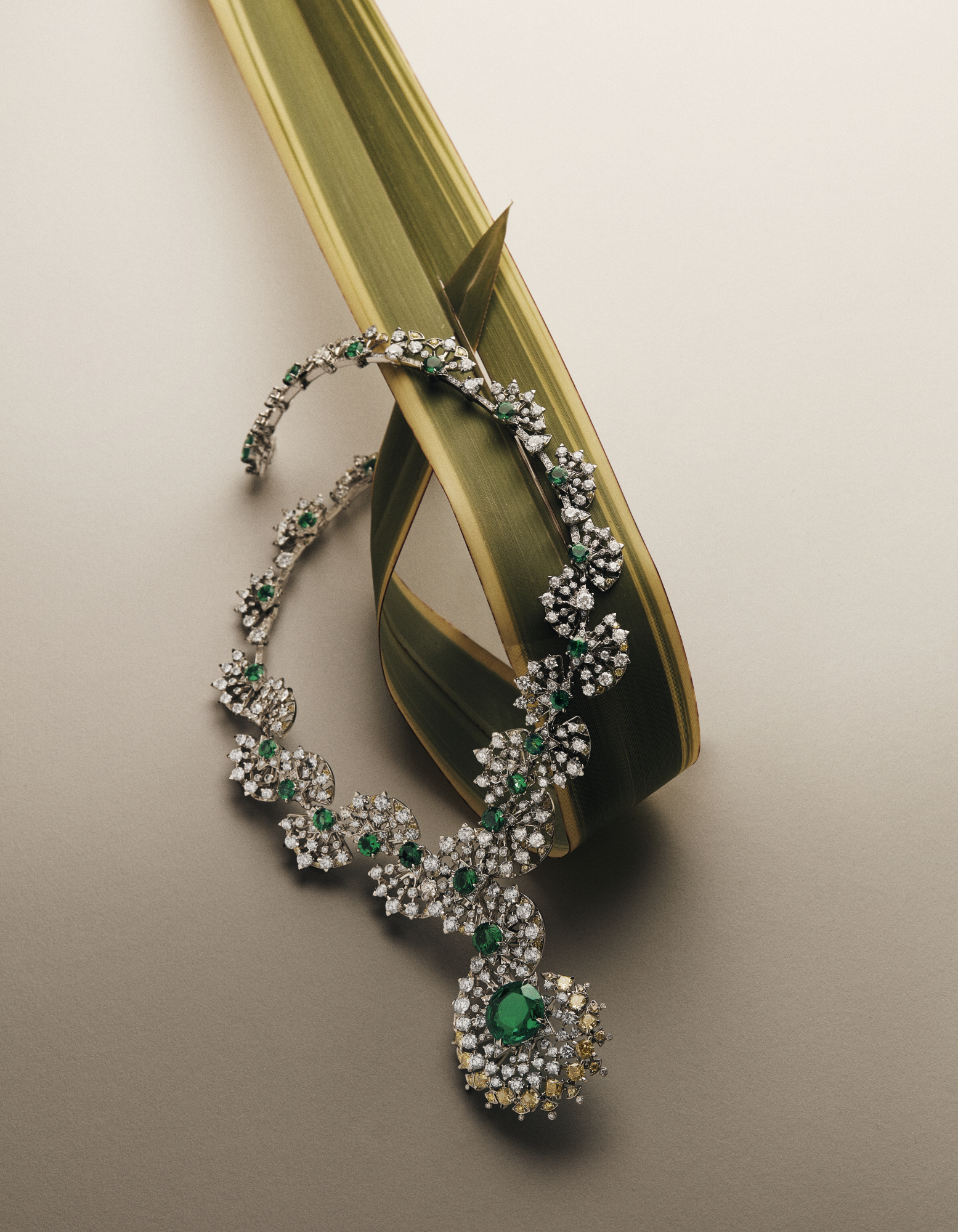 Talent and Partner, Nathan Robin: Portfolio (Fig. 10)