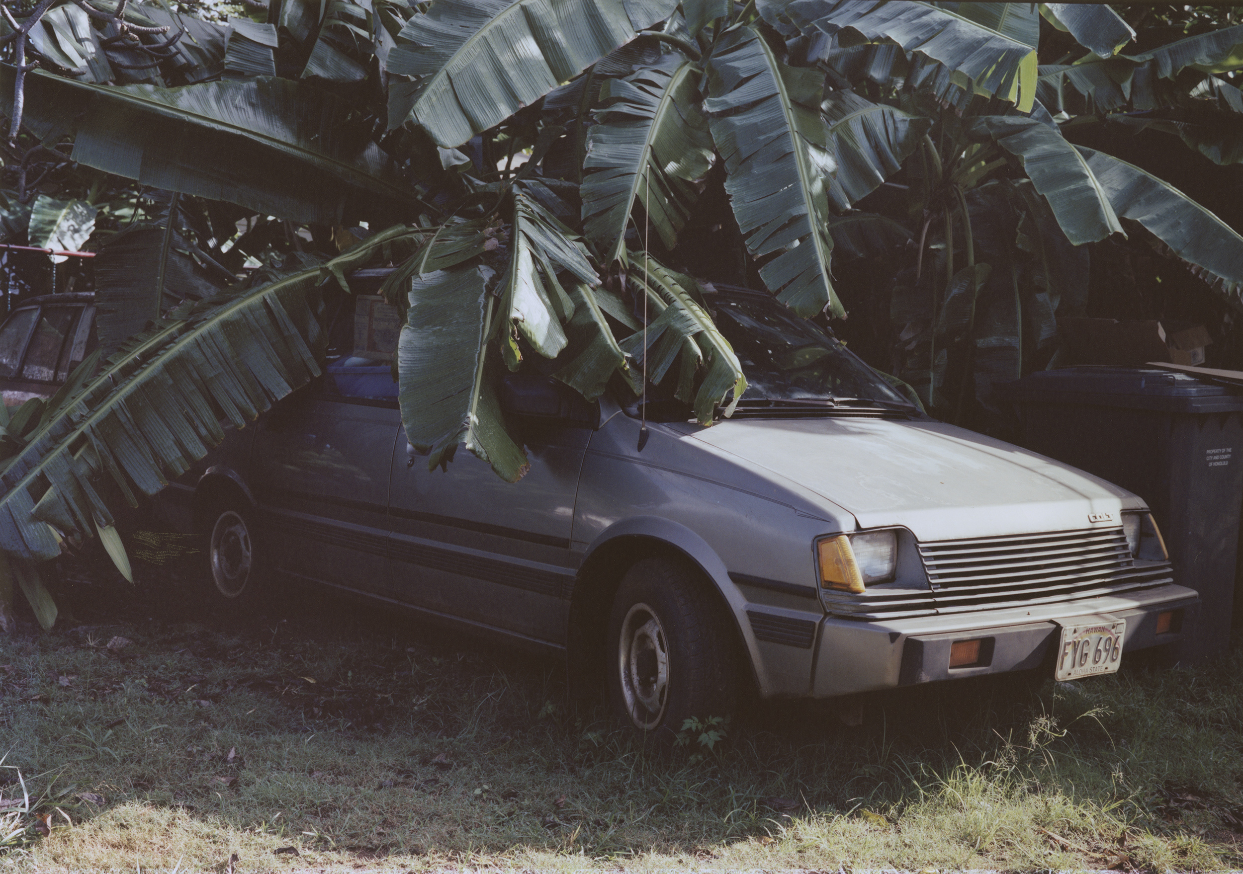 Talent and Partner, Vavá Ribeiro: Book — North Shore (Fig. 4)