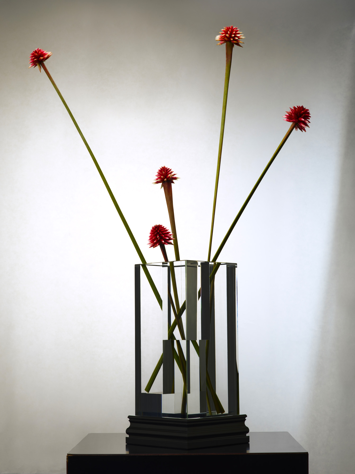 Talent and Partner, Leandro Farina: Harrods Magazine — Made to Treasure (Fig. 1)