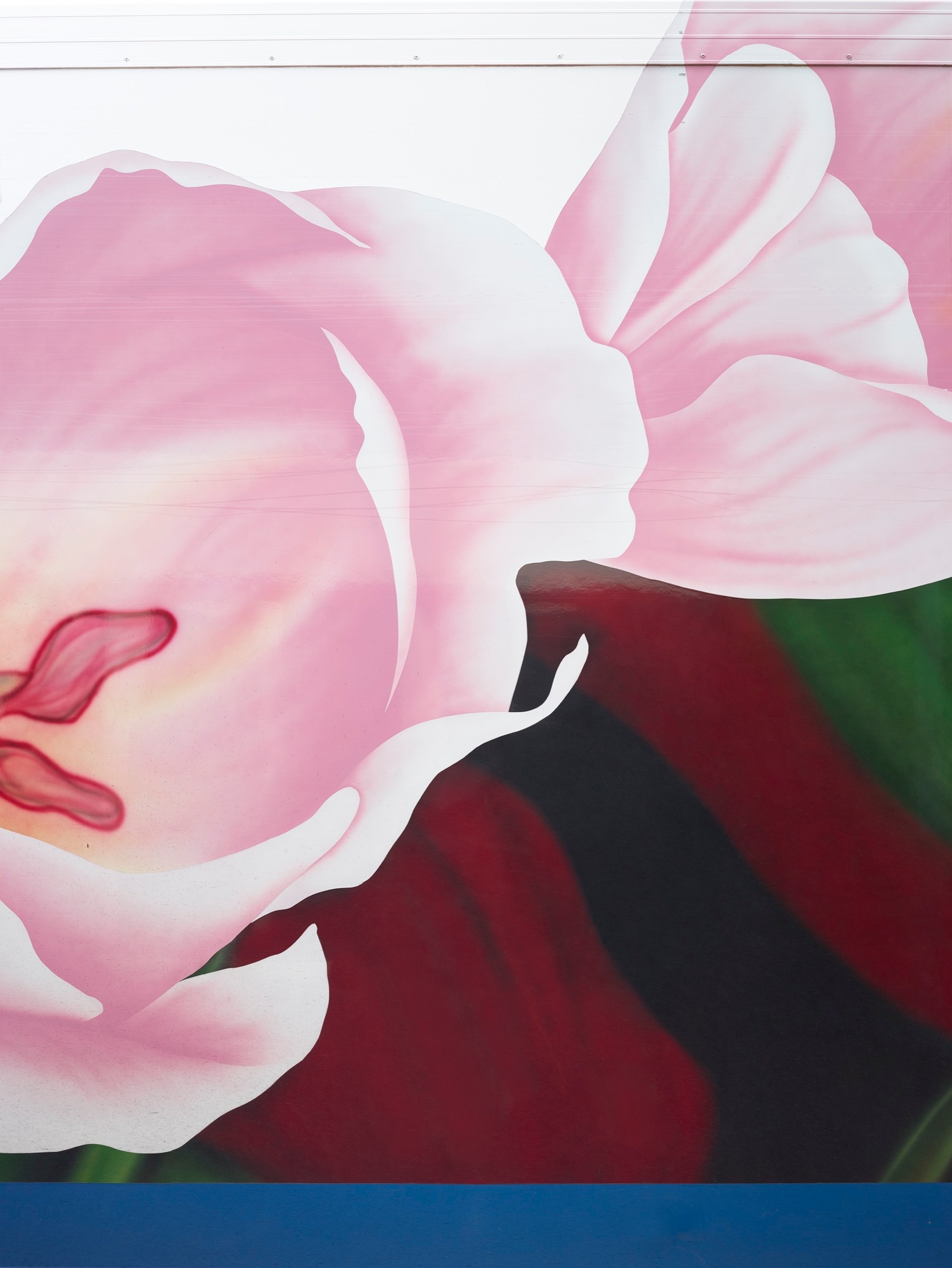 Talent and Partner, Scheltens & Abbenes: Exhibitions & Books (Fig. 28)