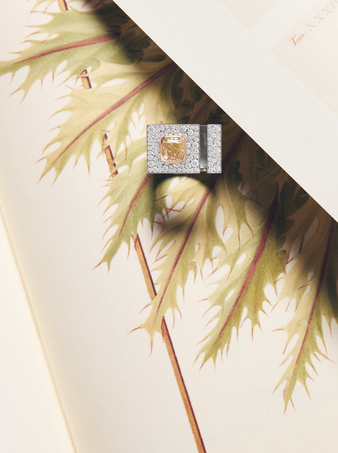 Talent and Partner, Nathan Robin: In Style China — Tiny Giants (Fig. 3)