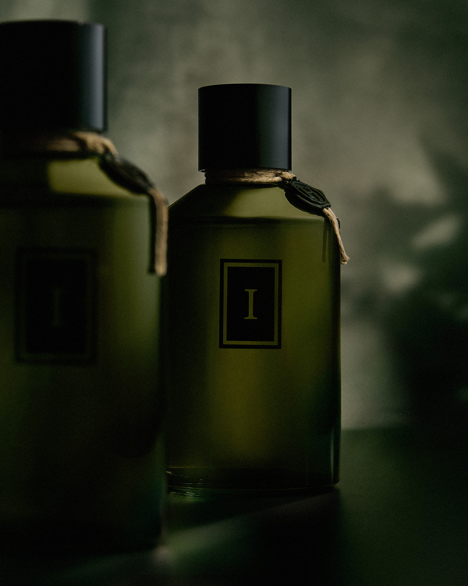 Talent and Partner, Nathan Robin: Henry Jacques — Il y avait un Jardin ... (Fig. 1)