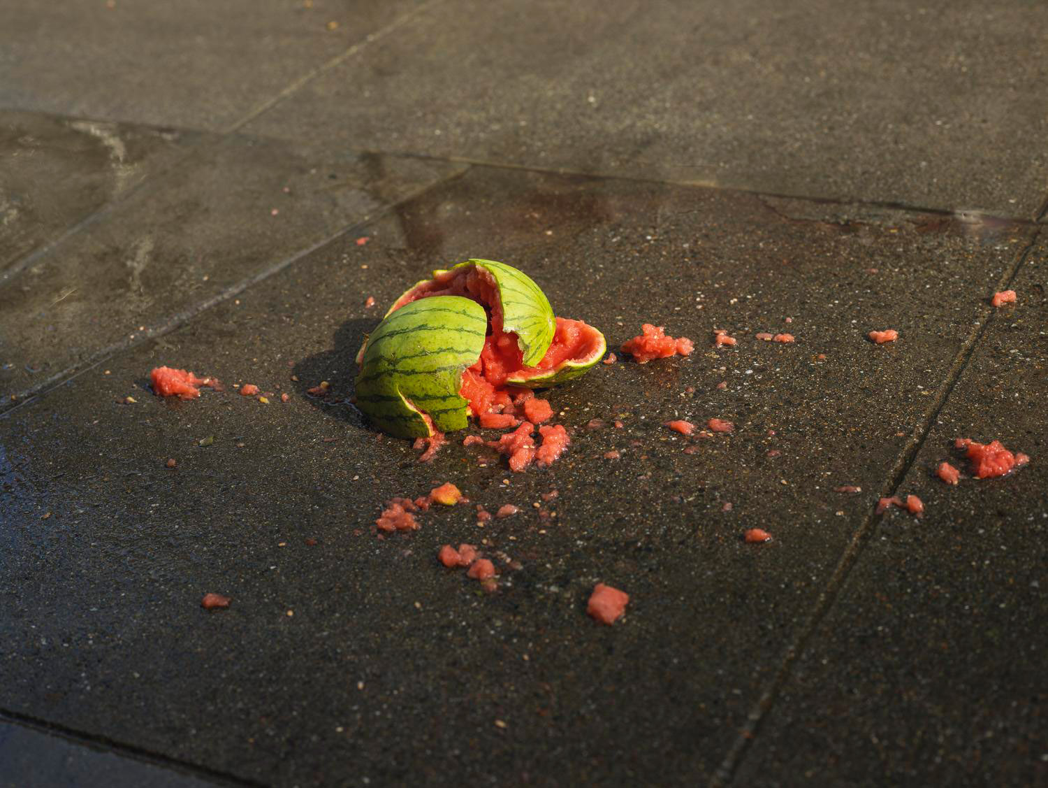 Talent and Partner, Pieter Hugo: Book — Californian Wildflowers (Fig. 8)