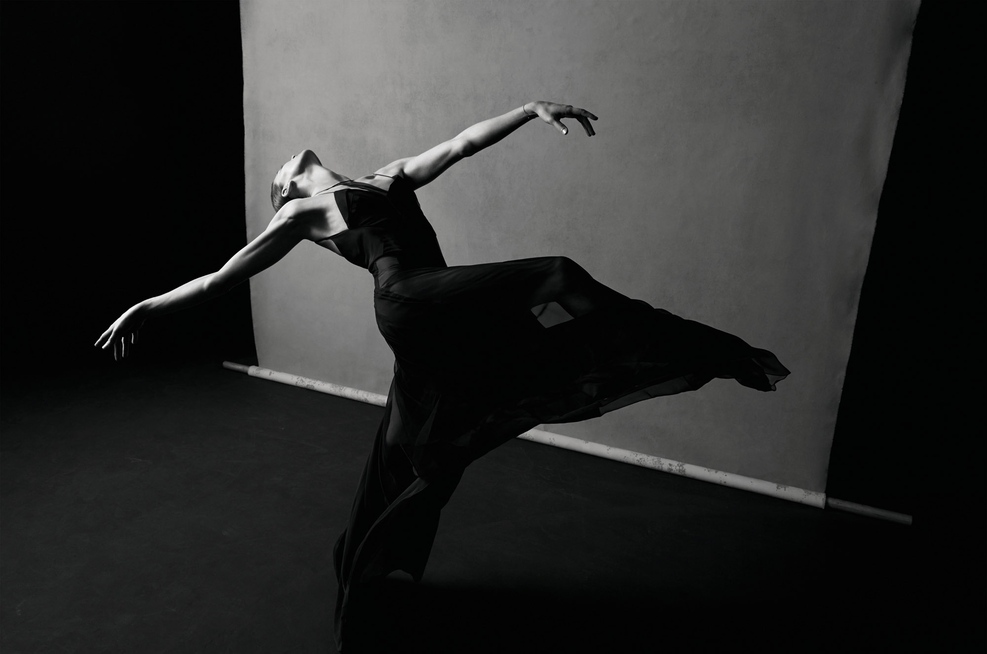 Talent and Partner, Samuel François: Portfolio (Fig. 103)