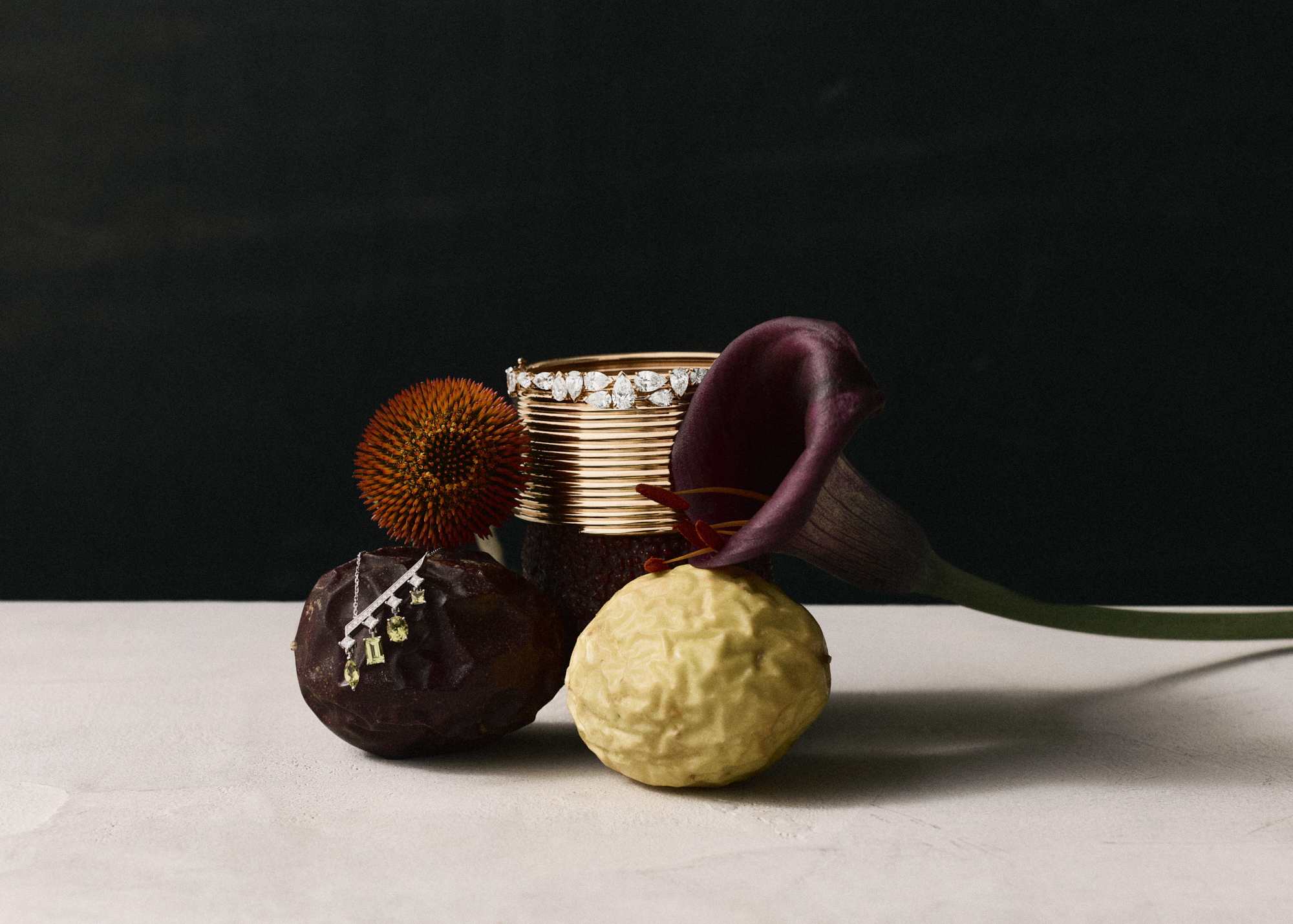 Talent and Partner, Nathan Robin: PalaceScope (Fig. 9)