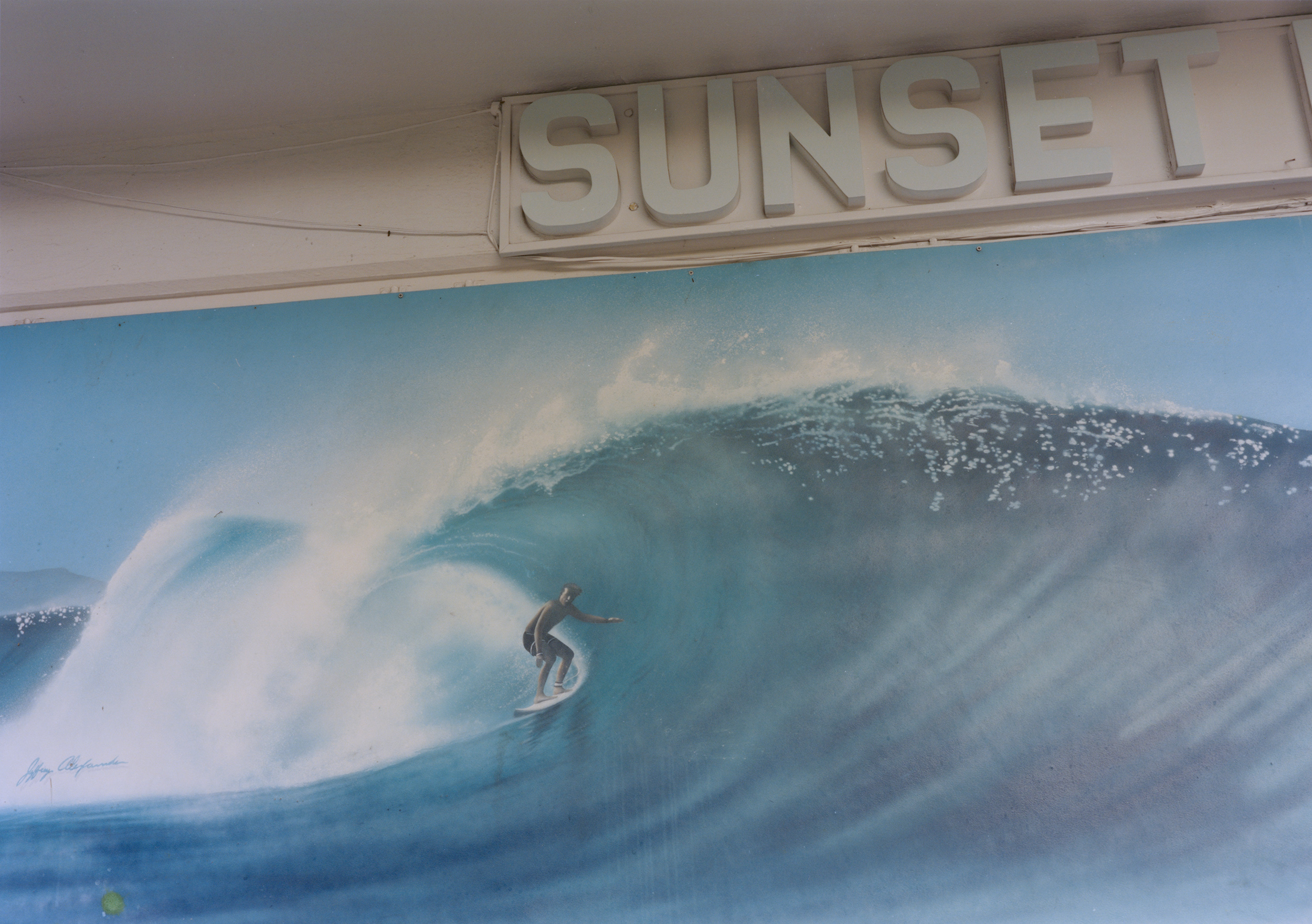 Talent and Partner, Vavá Ribeiro: Book — North Shore (Thumbnail)