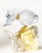 Talent and Partner, Nathan Robin: Nina Ricci — Air Du Temps (Miniature 3)