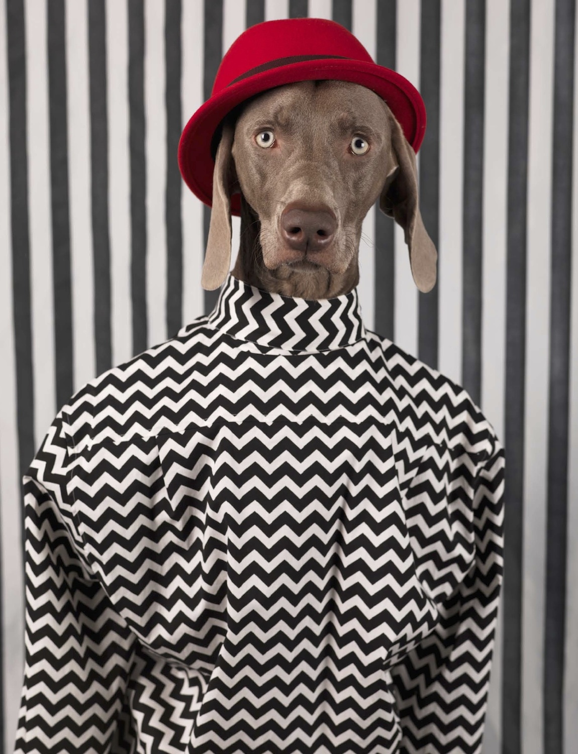 Talent and Partner, Samuel François: Portfolio (Fig. 127)