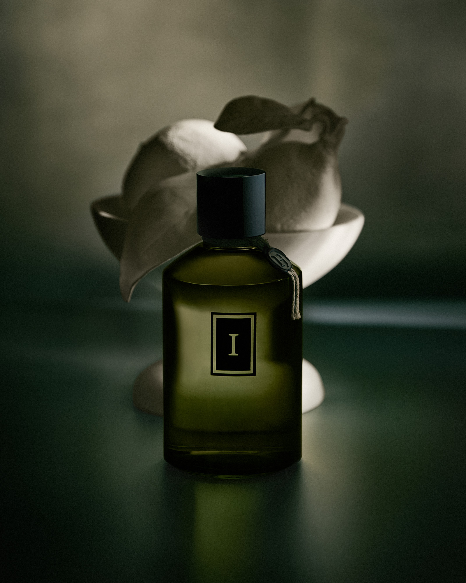 Talent and Partner, Nathan Robin: Henry Jacques — Il y avait un Jardin ... (Fig. 2)