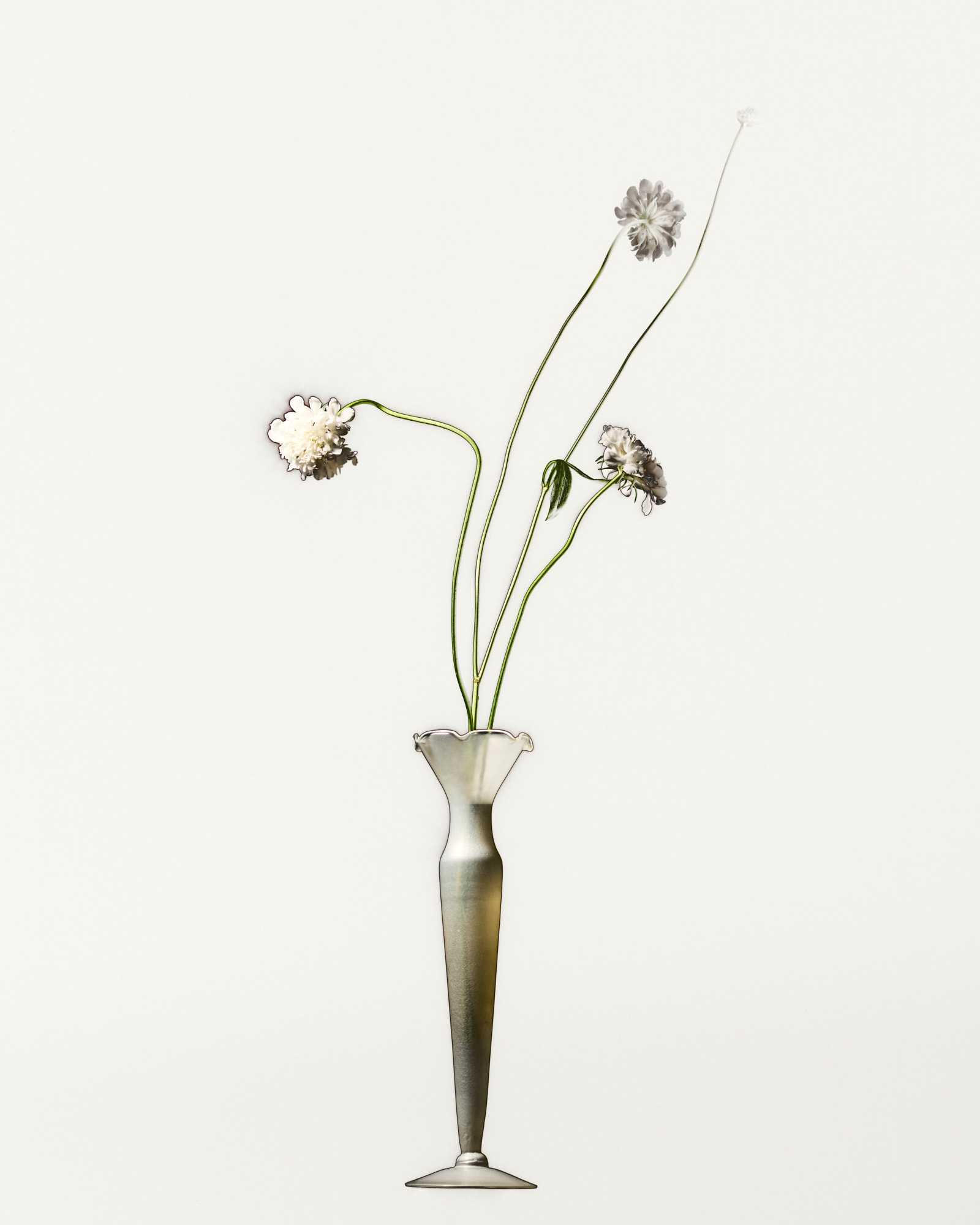 Talent and Partner, Nathan Robin: Jewelry & Watches (Fig. 35)