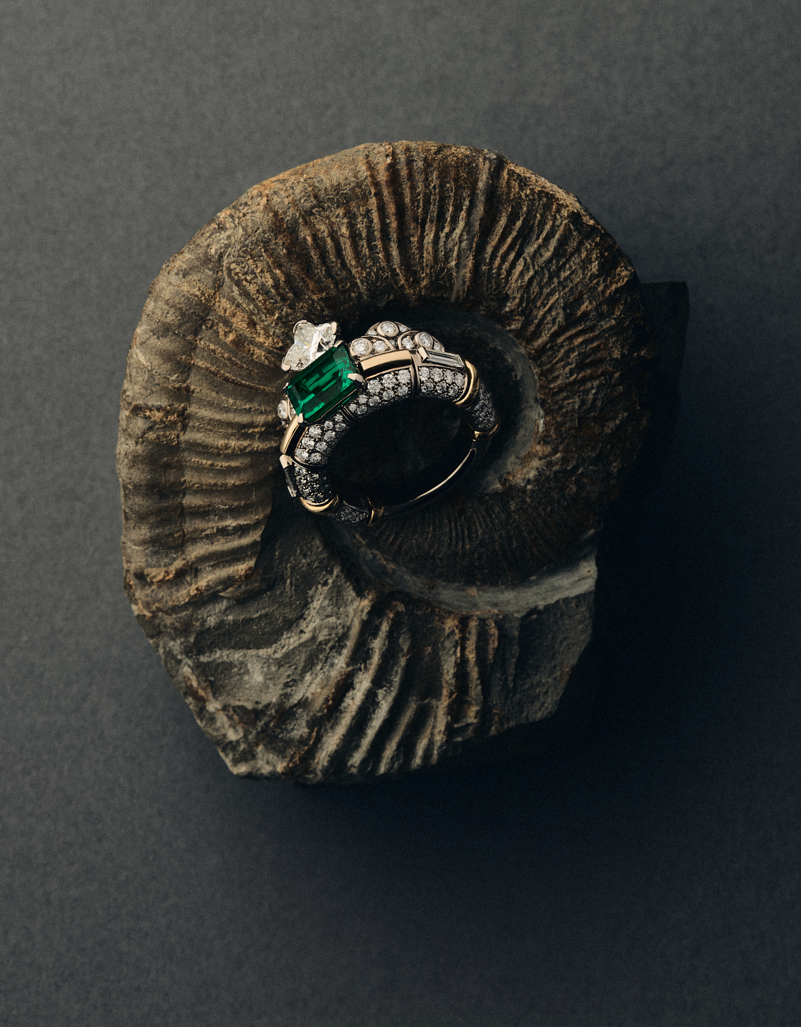 Talent and Partner, Nathan Robin: Portfolio (Fig. 12)