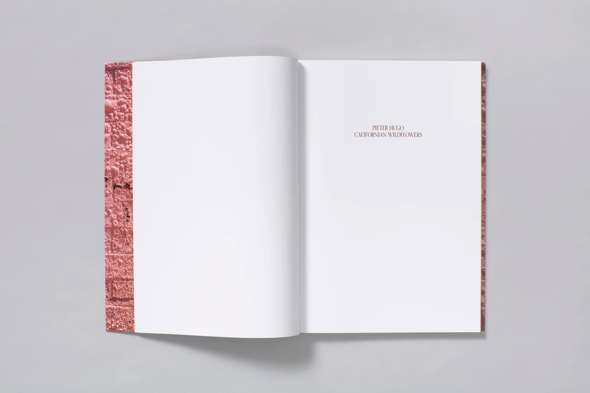 Talent and Partner, Pieter Hugo: Book — Californian Wildflowers (Fig. 4)