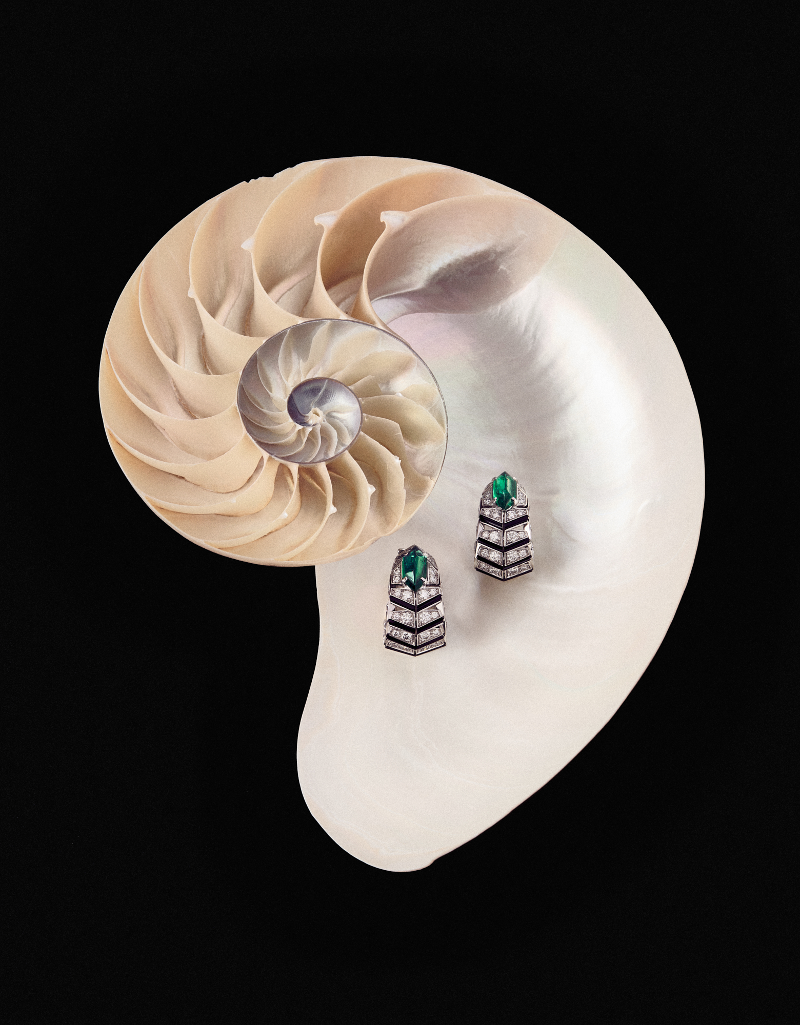 Talent and Partner, Nathan Robin: Portfolio (Fig. 9)