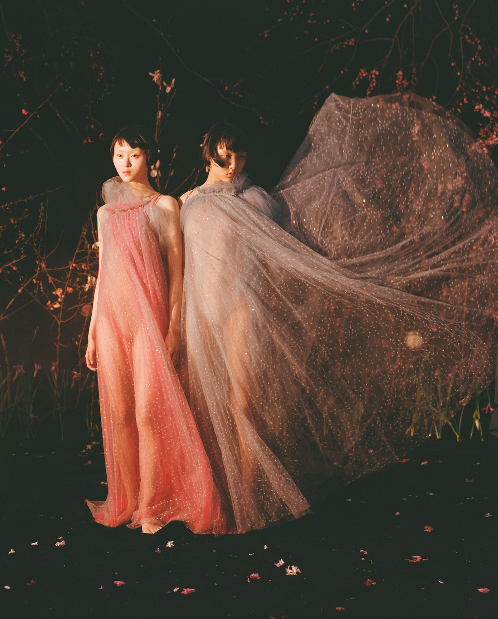 Talent and Partner, Samuel François: Portfolio (Fig. 66)